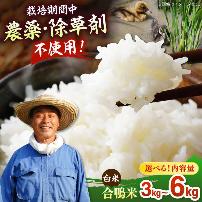 【選べる容量】古野農場の合鴨農法で作った 合鴨米（白米） 3kg / 6kg ▼無農薬 福岡産 農家直送 合鴨農法 白米 精米 桂川町/合鴨家族 古野農場[ADAL002] 15000 以上 15000円 以上 1万円 以上