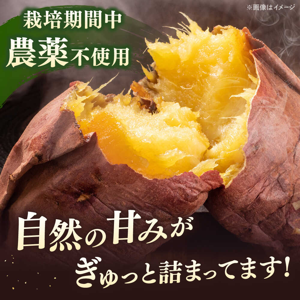 【ふるさと納税】さつまいも 紅はるか 4kg[栽培期間中農薬不使用] 10000 以上 10000円 以上 1万円 以上 - 画像2