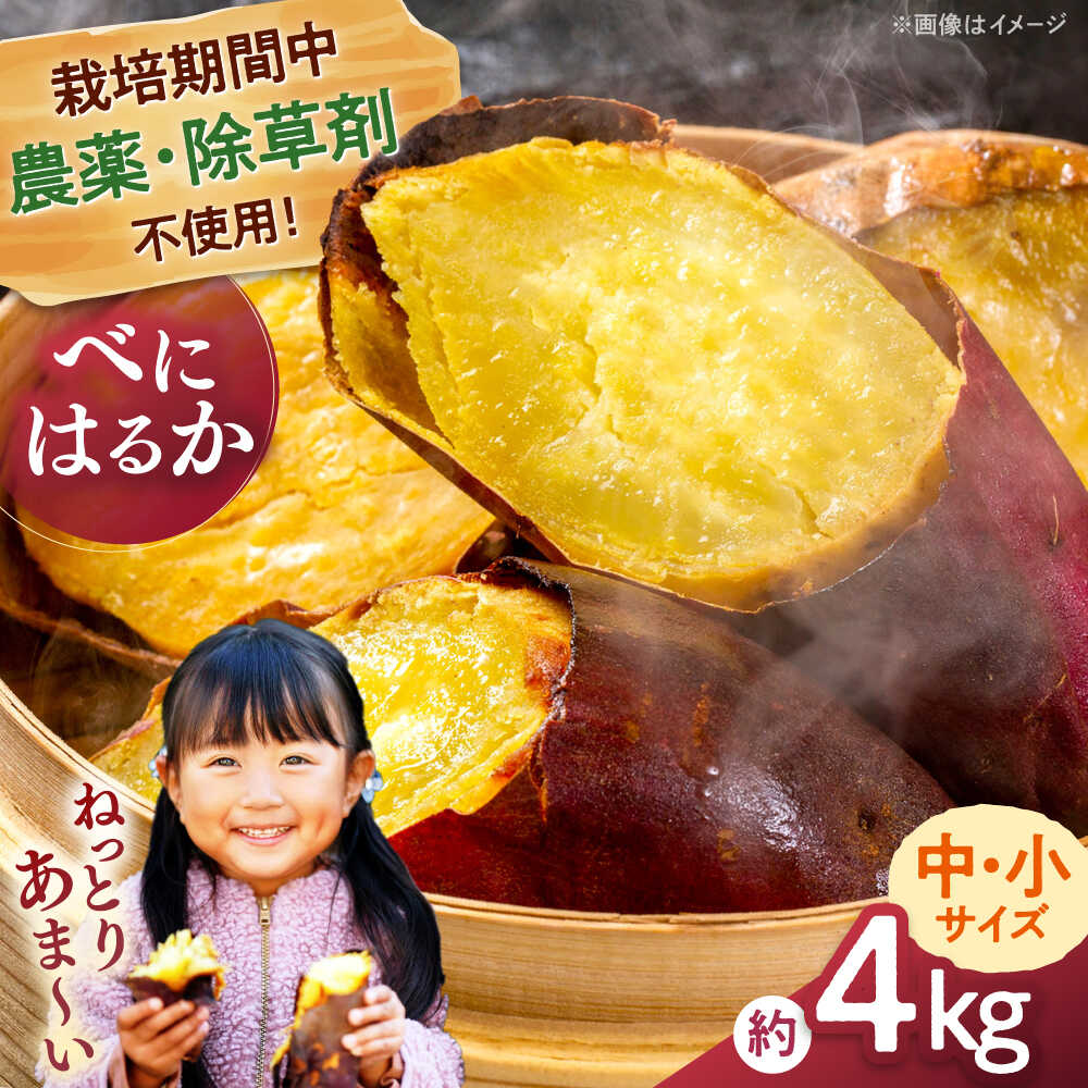 さつまいも 紅はるか 4kg[栽培期間中農薬不使用] 10000 以上 10000円 以上 1万円 以上