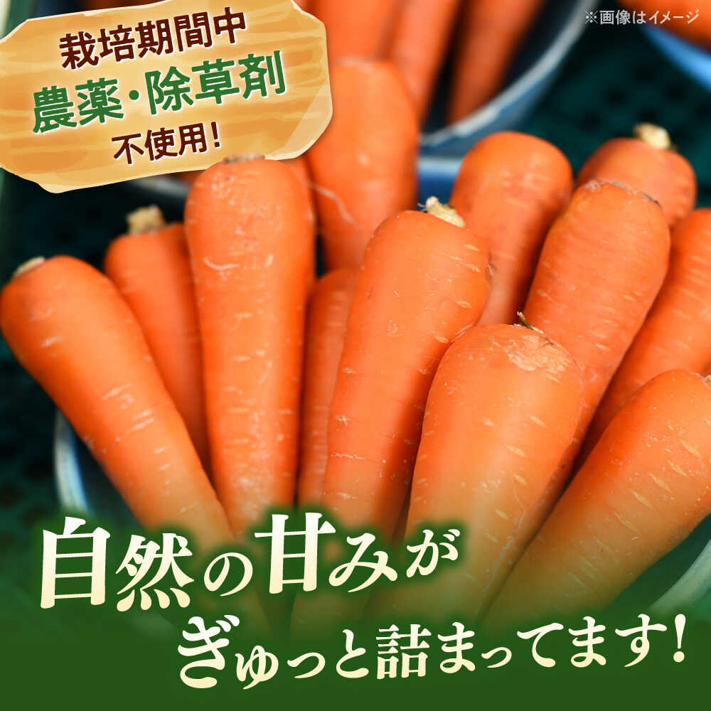 【ふるさと納税】[栽培期間中農薬不使用] 人参 2種詰め合わせ（アロマレッド・京くれない）（計10袋） ▼ 美味しい 人気 旬 桂川町/合鴨家族 古野農場[ADAL017] - 画像2