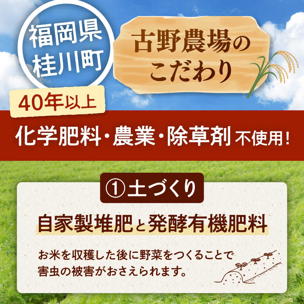 【ふるさと納税】[栽培期間中農薬不使用] 人参 2種詰め合わせ（アロマレッド・京くれない）（計10袋） ▼ 美味しい 人気 旬 桂川町/合鴨家族 古野農場[ADAL017] - 画像3