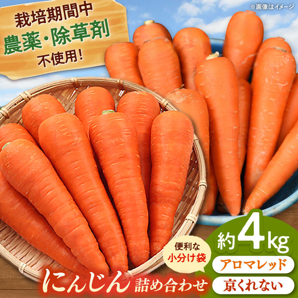 [栽培期間中農薬不使用] 人参 2種詰め合わせ（アロマレッド・京くれない）（計10袋） ▼ 美味しい 人気 旬 桂川町/合鴨家族 古野農場[ADAL017]