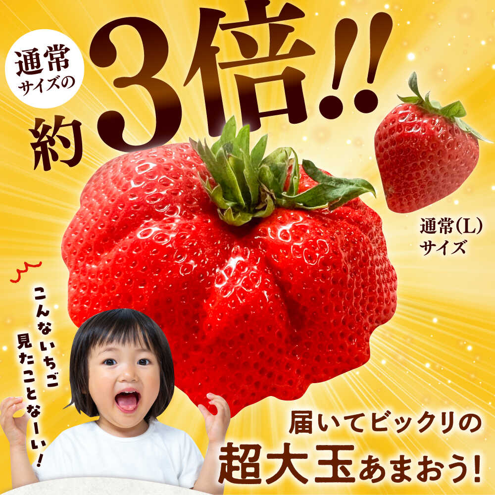 【ふるさと納税】【先行予約】いちご 超大玉 あまおう 約320g×2パック ▼ フルーツ 果物 甘い おいしい いちご イチゴ 苺 ストロベリー 産地直送 福岡 ブランド ジャム スムージー デザートアフター保証 あまおう 桂川町/高嶋園芸[ADAT001] 10000 10000円 1万円 以上 サムネイル2