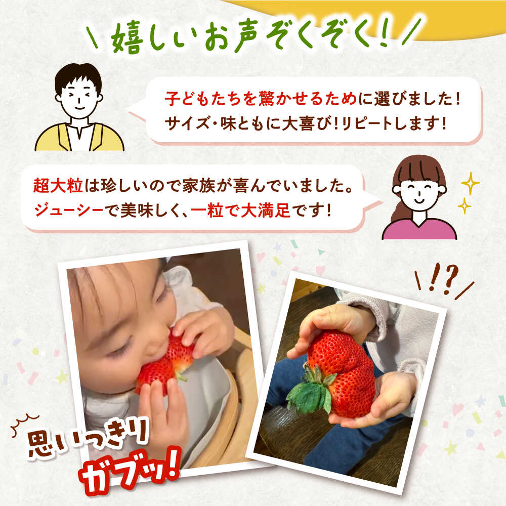 【ふるさと納税】【先行予約】いちご 超大玉 あまおう 約320g×2パック ▼ フルーツ 果物 甘い おいしい いちご イチゴ 苺 ストロベリー 産地直送 福岡 ブランド ジャム スムージー デザートアフター保証 あまおう 桂川町/高嶋園芸[ADAT001] 10000 10000円 1万円 以上 サムネイル3