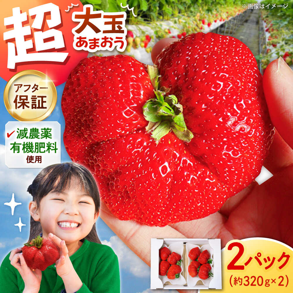 【先行予約】いちご 超大玉 あまおう 約320g×2パック ▼ フルーツ 果物 甘い おいしい いちご イチゴ 苺 ストロベリー 産地直送 福岡 ブランド ジャム スムージー デザートアフター保証 あまおう 桂川町/高嶋園芸[ADAT001] 10000 10000円 1万円 以上