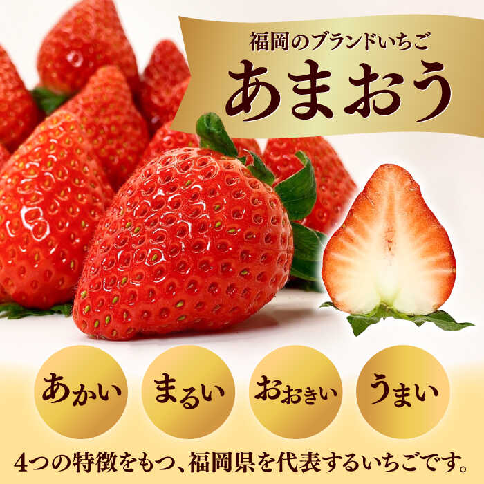 【ふるさと納税】【先行予約】あまおう Lサイズ 約320g×2パック ▼あまおう いちごの王様 イチゴ 苺 甘い あまい 冷蔵 国産 生 ギフト贈り物 産地直送 新鮮 果物 高品質 桂川町/高嶋園芸[ADAT003] 10000 10000円 1万円 サムネイル3