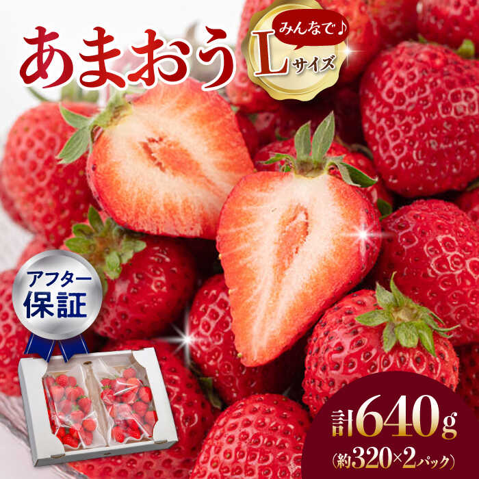 【先行予約】あまおう Lサイズ 約320g×2パック ▼あまおう いちごの王様 イチゴ 苺 甘い あまい 冷蔵 国産 生 ギフト贈り物 産地直送 新鮮 果物 高品質 桂川町/高嶋園芸[ADAT003] 10000 10000円 1万円