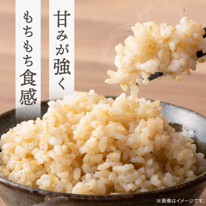 【ふるさと納税】【新米 令和7年産】玄米 弥山岳の岩清水で育ったノガミファームの お米 10kg ~20kg▼ おすすめ 人気 ランキング 高評価 国産 福岡県産 九州 米 お米 玄米 ご飯 ごはん ゴハン 精米前 未精米 農家直送 桂川町/NOGAMI FARM[ADAU008] 5000 5000 5千円 サムネイル2