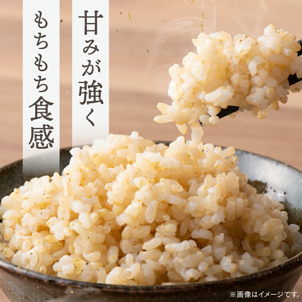 【ふるさと納税】玄米 5kg 10kg 20kg ノガミファームの玄米 ▼米 玄米 人気 福岡県産 九州 米 お米 ご飯 ごはん ゴハン 農家直送 5キロ 10キロ 20キロ 桂川町/NOGAMI FARM[ADAU008] 10000円 以上 1万円 以上 - 画像2