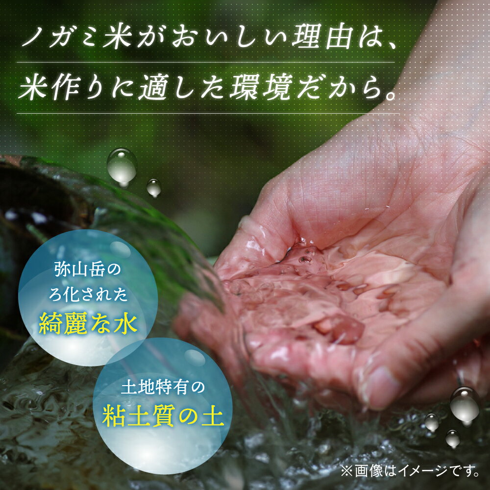 【ふるさと納税】玄米 5kg 10kg 20kg ノガミファームの玄米 ▼米 玄米 人気 福岡県産 九州 米 お米 ご飯 ごはん ゴハン 農家直送 5キロ 10キロ 20キロ 桂川町/NOGAMI FARM[ADAU008] 10000円 以上 1万円 以上 - 画像3