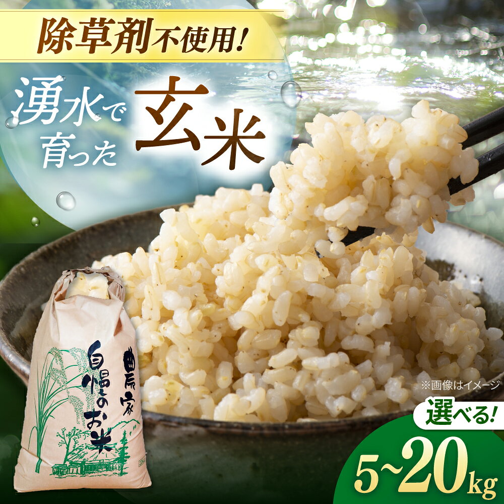 玄米 5kg 10kg 20kg ノガミファームの玄米 ▼米 玄米 人気 福岡県産 九州 米 お米 ご飯 ごはん ゴハン 農家直送 5キロ 10キロ 20キロ 桂川町/NOGAMI FARM[ADAU008] 10000円 以上 1万円 以上