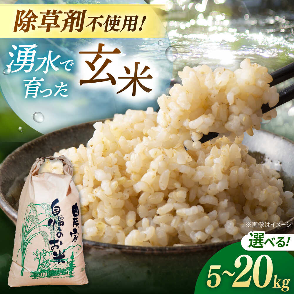 玄米 5kg 10kg 20kg ノガミファームの玄米 ▼米 玄米 人気 福岡県産 九州 米 お米 ご飯 ごはん ゴハン 農家直送 5キロ 10キロ 20キロ 桂川町/NOGAMI FARM[ADAU008] 10000円 以上 1万円 以上