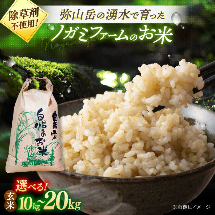 【新米 令和7年産】玄米 弥山岳の岩清水で育ったノガミファームの お米 10kg ~20kg▼ おすすめ 人気 ランキング 高評価 国産 福岡県産 九州 米 お米 玄米 ご飯 ごはん ゴハン 精米前 未精米 農家直送 桂川町/NOGAMI FARM[ADAU008] 5000 5000 5千円