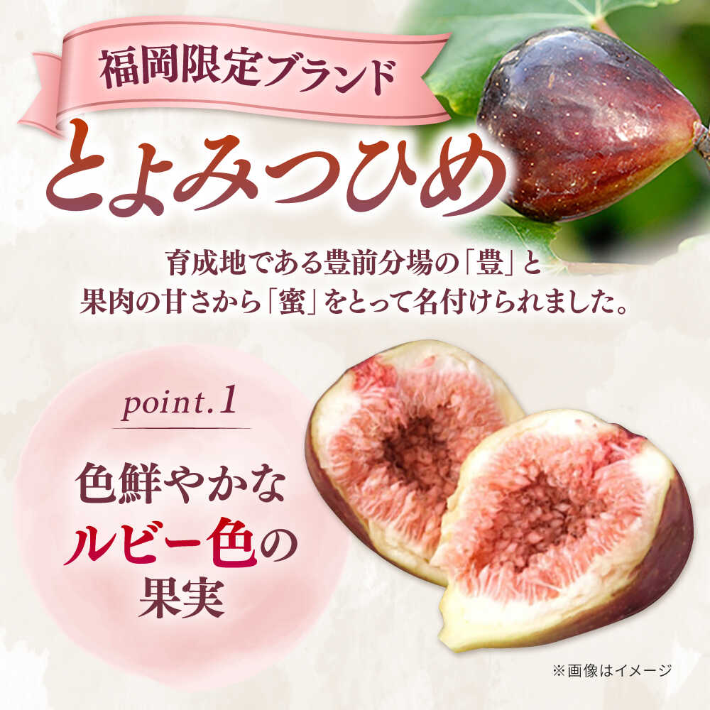 【ふるさと納税】【先行受付】【2026年8月発送開始】 いちじく 福岡限定ブランド とよみつひめ 1.2kg （300g×4） イチジク 無花果 ▼ 国産 福岡 フルーツ 果物 いちぢく JAふくおか嘉穂 桂川町/福岡嘉穂農業協同組合[ADAY001] 10000円 以上 1万円 以上 - 画像3