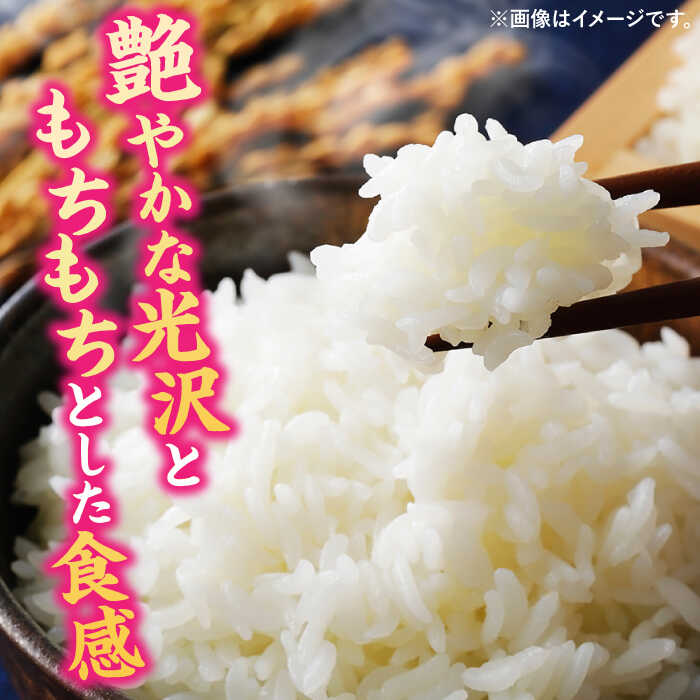 【ふるさと納税】夢つくし 白米 5〜10kg福岡県 桂川町産▼米 お米 白米 精米 5kg 10kg 5キロ 10キロ ふるさと納税 九州 県産米 桂川町/一般社団法人地域商社いいバイ桂川[ADBB001] 10000 以上 10000円 以上 1万円 以上 - 画像2
