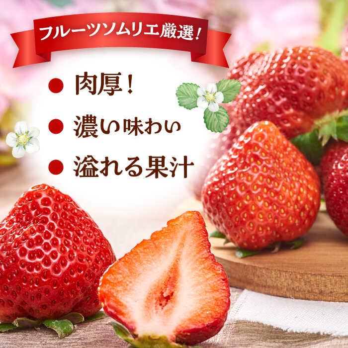 【ふるさと納税】【2026年2月上旬より発送】福岡産【春】 あまおう 6パック ▼ 福岡 あまおう イチゴ 苺 果物 フルーツ 桂川町/南国フルーツ株式会社[ADBW010] 20000 20000円 2万円 以下 サムネイル3