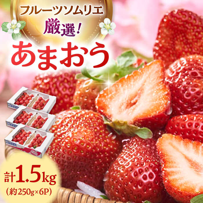 【2026年2月上旬より発送】福岡産【春】 あまおう 6パック ▼ 福岡 あまおう イチゴ 苺 果物 フルーツ 桂川町/南国フルーツ株式会社[ADBW010] 20000 20000円 2万円 以下