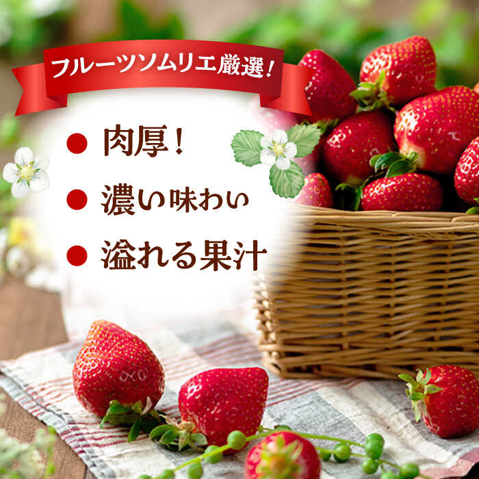 【ふるさと納税】【2025年12月上旬より発送】福岡産【冬】 あまおう 2パック ▼ 福岡 あまおう イチゴ 苺 果物 フルーツ 桂川町/南国フルーツ株式会社[ADBW011] 10000 10000円 1万円 以上 サムネイル3
