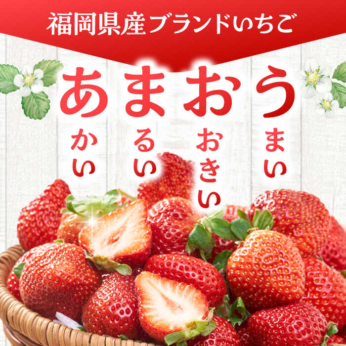 【ふるさと納税】【全2回定期便】福岡産【春】いちご あまおう4パック ▼ イチゴ 苺 福岡 あまおう 果物 フルーツ 定期便 桂川町/南国フルーツ株式会社[ADBW042] 30000 30000円 3万円 以下 サムネイル2