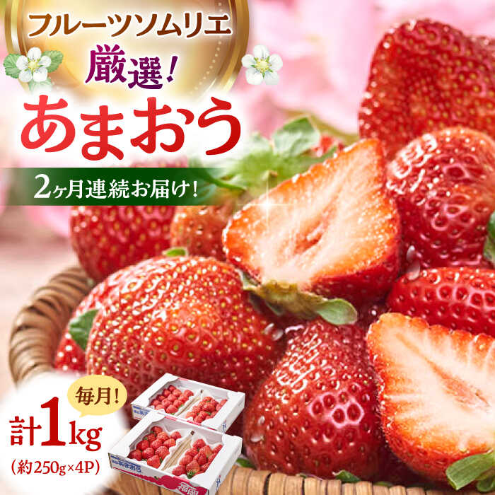 【全2回定期便】福岡産【春】いちご あまおう4パック ▼ イチゴ 苺 福岡 あまおう 果物 フルーツ 定期便 桂川町/南国フルーツ株式会社[ADBW042] 30000 30000円 3万円 以下