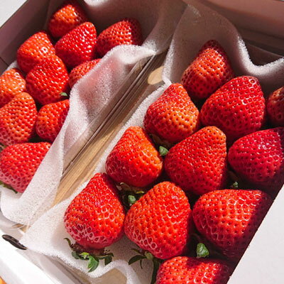 【ふるさと納税】あまおう デラックス （ 4パック ） 3LA1 サムネイル3