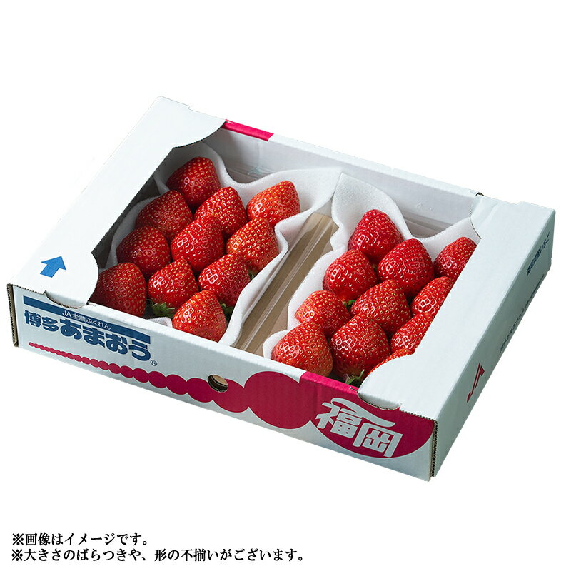 【ふるさと納税】 予約 冬 お届け 福岡産 あまおう 2パック いちご イチゴ 苺 ベリー ビタミン 博多 高級 デザート 果物 くだもの フルーツ ジャム ケーキ にも 送料無料 数量限定 福岡 東峰村 3V1 サムネイル3