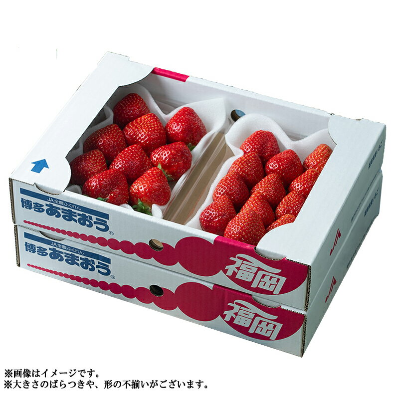 【ふるさと納税】 予約 春 お届け 福岡産 あまおう 4パック いちご イチゴ 苺 ベリー ビタミン 博多 高級 デザート 果物 くだもの フルーツ ジャム ケーキ にも 送料無料 数量限定 福岡 東峰村 3V3 サムネイル3