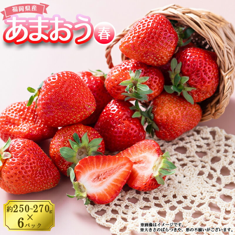 予約 春 お届け 福岡産 あまおう 6パック いちご イチゴ 苺 ベリー ビタミン 博多 高級 デザート 果物 くだもの フルーツ ジャム ケーキ にも 送料無料 数量限定 福岡 東峰村 3V4