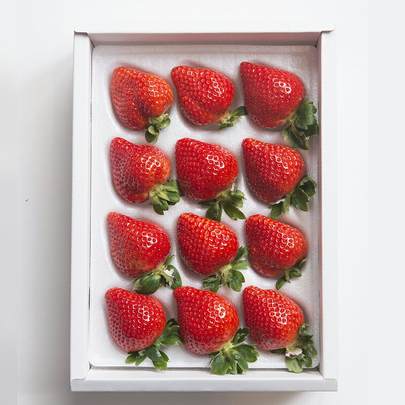 【ふるさと納税】 予約 ギフト 贈答 福岡産 あまおう いちご イチゴ 苺 ベリー ビタミン 博多 高級 デザート 果物 くだもの フルーツ ジャム ケーキ にも 送料無料 数量限定 福岡 東峰村 3V5 サムネイル3