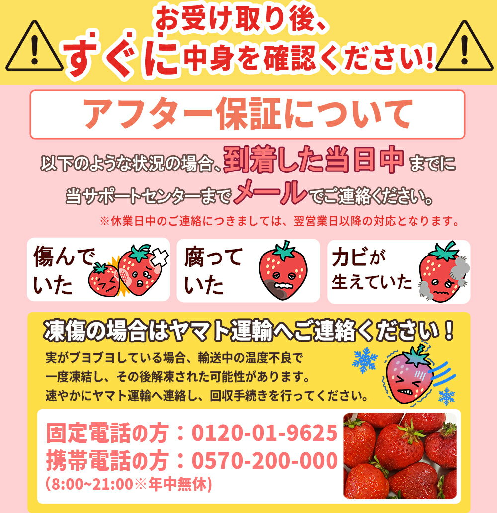 【ふるさと納税】 先行 予約 福岡県産 あまおう 定期便 3回 お届け 1月 2月 3月 いちご 2G3 サムネイル3