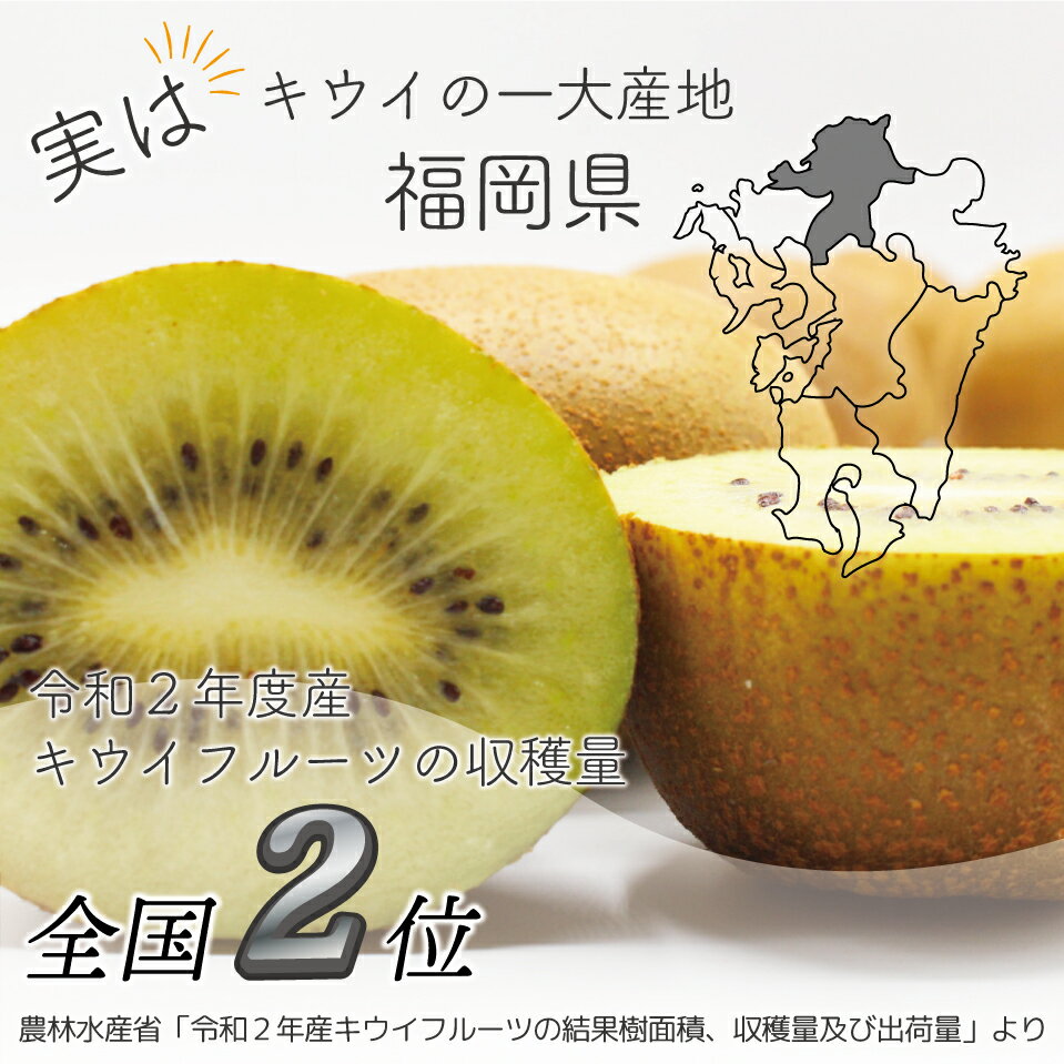 【ふるさと納税】【 福岡県産 】キウイフルーツ 「 博多甘うぃ 」 化粧箱 入り 約1.4kg キウイ フルーツ 福岡 福岡県 東峰 ギフト 果物 　2J9 サムネイル2
