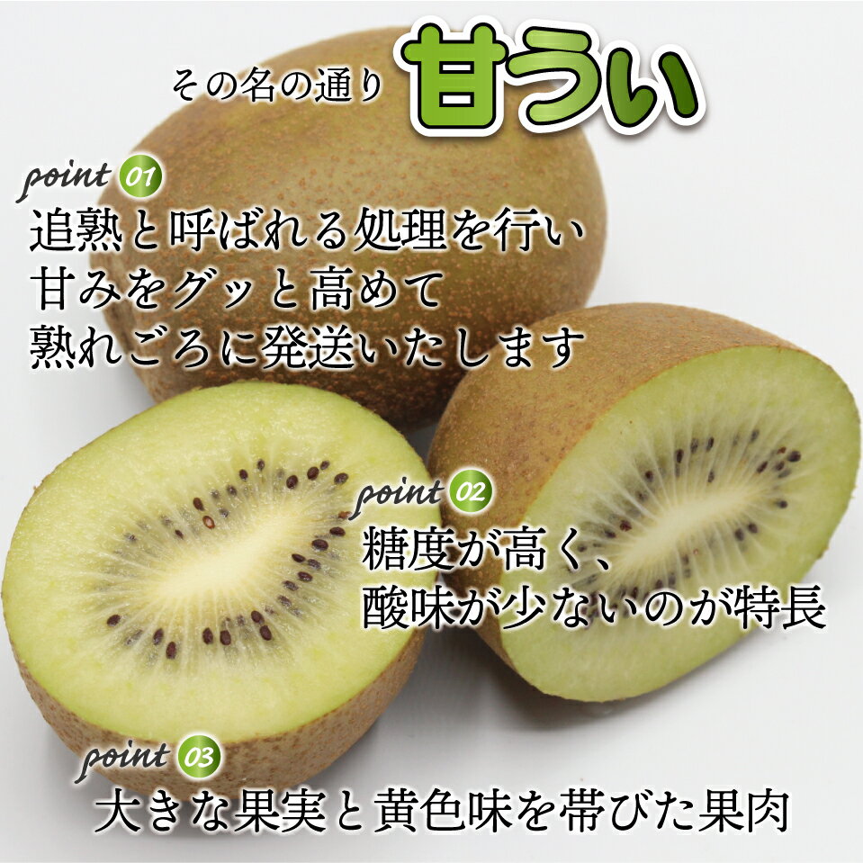 【ふるさと納税】【 福岡県産 】キウイフルーツ 「 博多甘うぃ 」 化粧箱 入り 約1.4kg キウイ フルーツ 福岡 福岡県 東峰 ギフト 果物 　2J9 サムネイル3