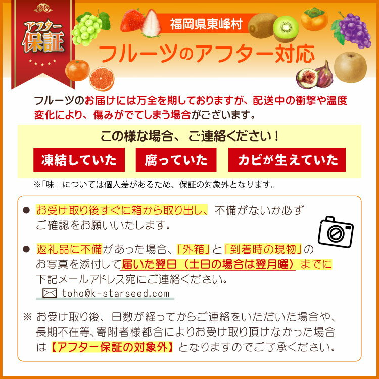 【ふるさと納税】 フルーツの老舗“南国フルーツ”の夏から冬のフルーツ定期便【全5回】定期便 南国フルーツ フルーツ とよみつひめ いちじく 早味かん みかん 秋王 柿 甘うぃ キウイ あまおう いちご お取り寄せ 福岡土産 取り寄せ グルメ 福岡県 食品 東峰村 3V22 サムネイル2