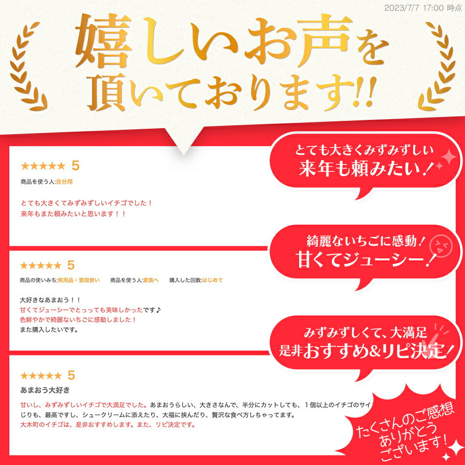 【ふるさと納税】【アフター保証】博多あまおう 福岡県JAグループのブランド あまおういちご 1080g（約270g×4パック）JA福岡大城【2026年2月中旬から順次発送】AG010 サムネイル2