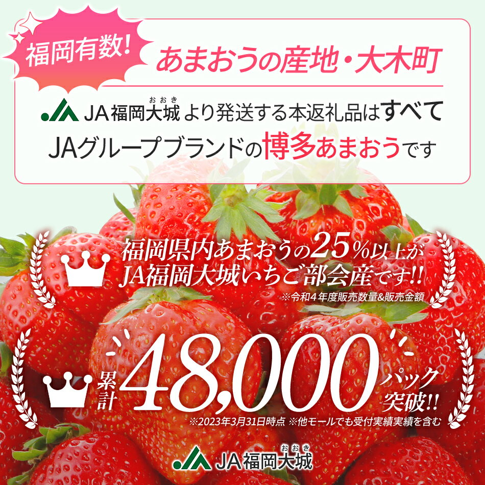 【ふるさと納税】【アフター保証】博多あまおう 福岡県JAグループのブランド あまおういちご 1080g（約270g×4パック）JA福岡大城【2026年2月中旬から順次発送】AG010 サムネイル3