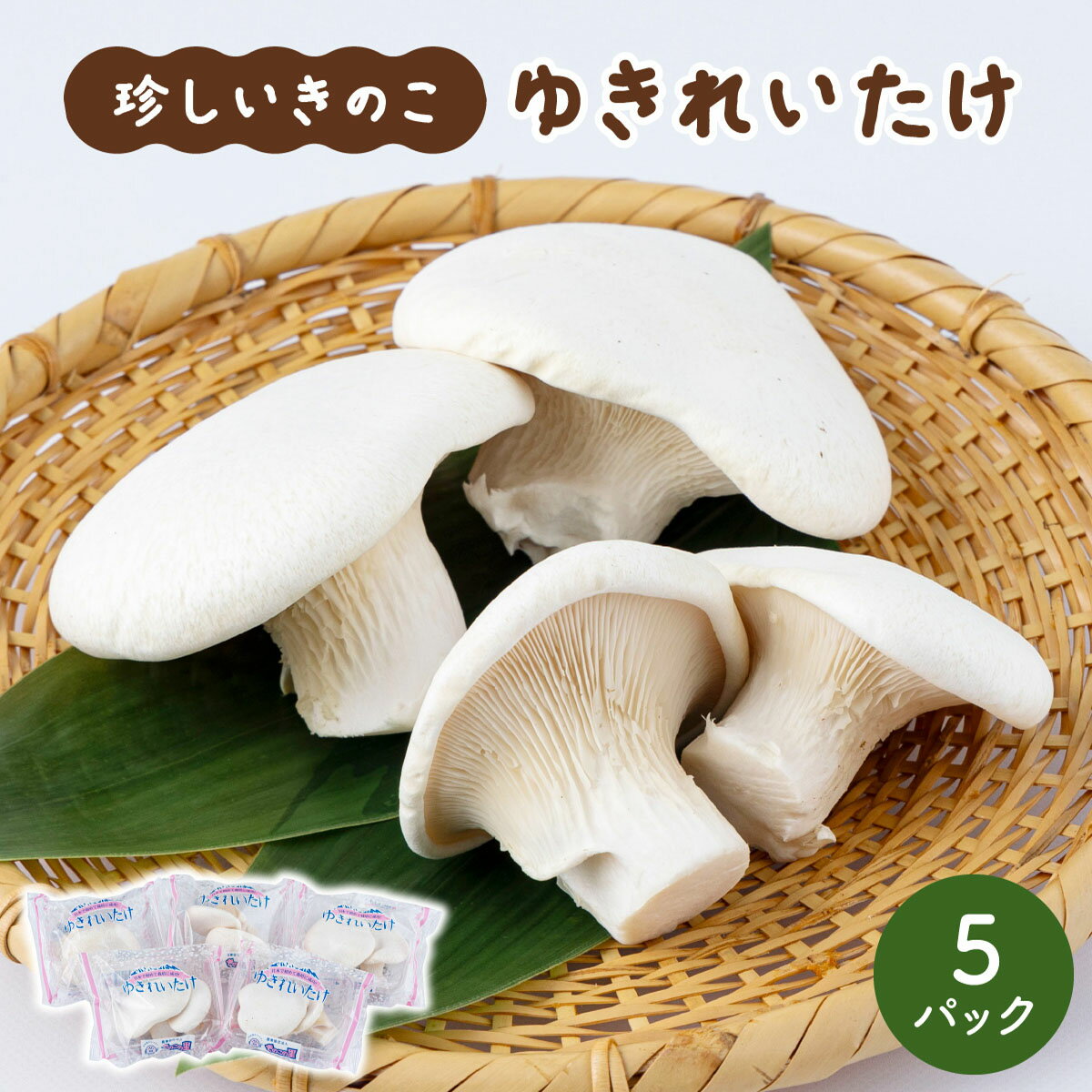 珍しいきのこ ゆきれいたけ AT19