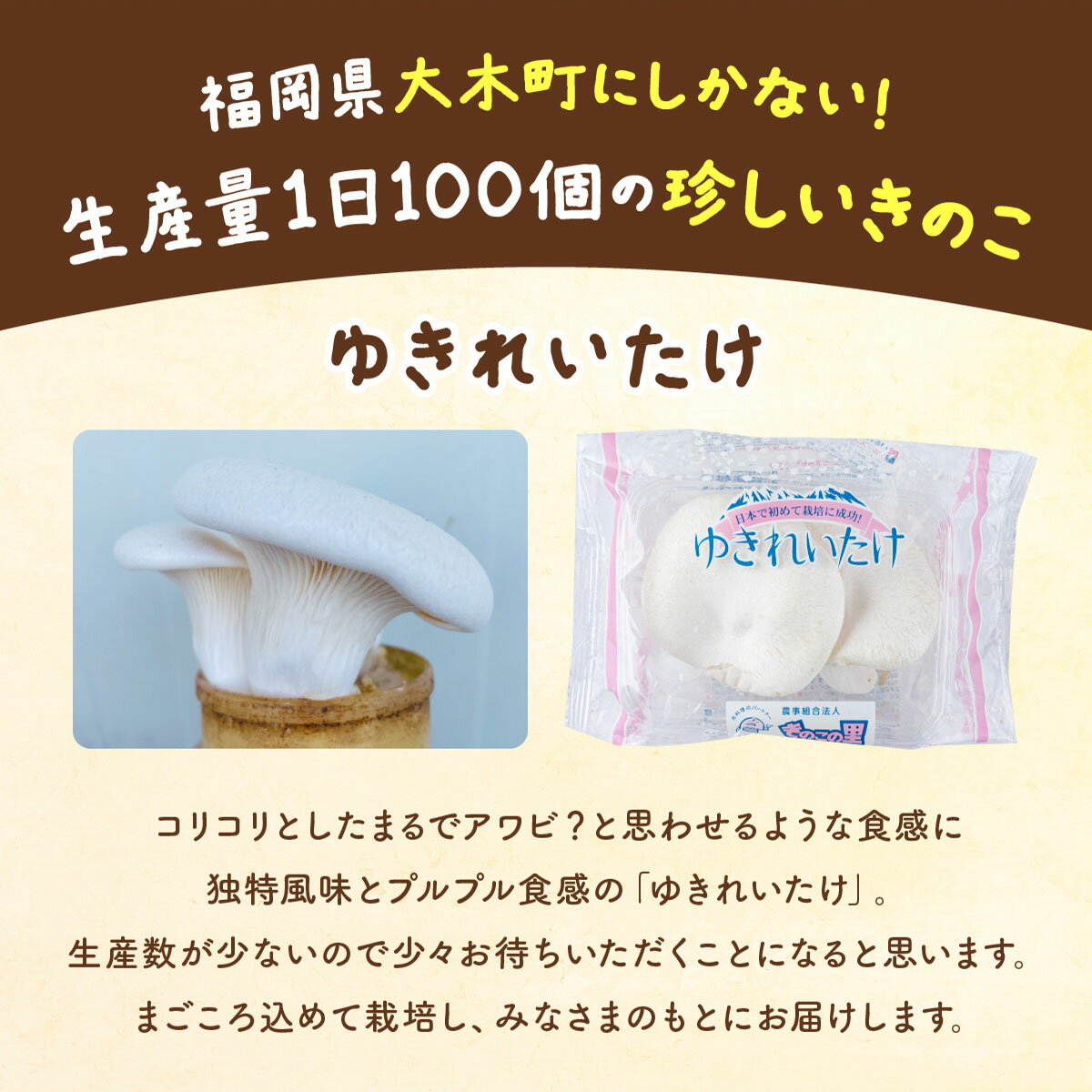 【ふるさと納税】珍しいきのこ ゆきれいたけ AT19 - 画像2