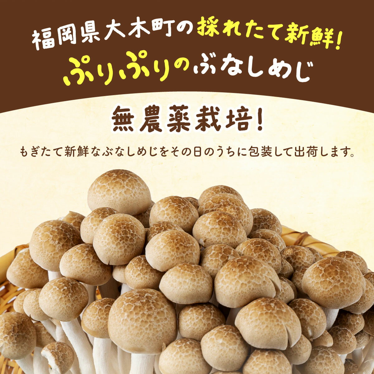 【ふるさと納税】【選べる容量】もぎたて新鮮！ぶなしめじセットAT21-24 - 画像2