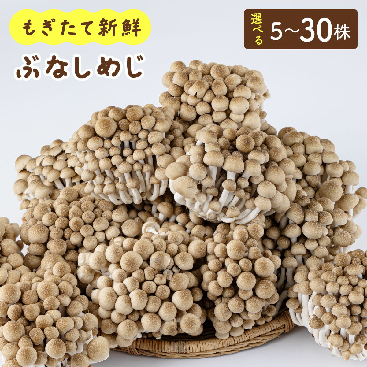 【選べる容量】もぎたて新鮮！ぶなしめじセットAT21-24