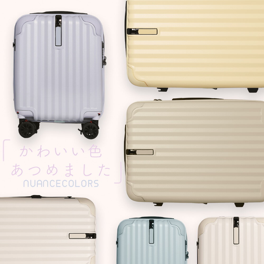 【ふるさと納税】[PROEVO]ファスナーキャリー スーツケース ストッパー付き 修学旅行に最適 LMサイズ [10003S]福岡県 大木町 株式会社 レクサス AY-S0029 AY342 AY343 AY344 AY345 AY346 AY347 AY348 サムネイル2