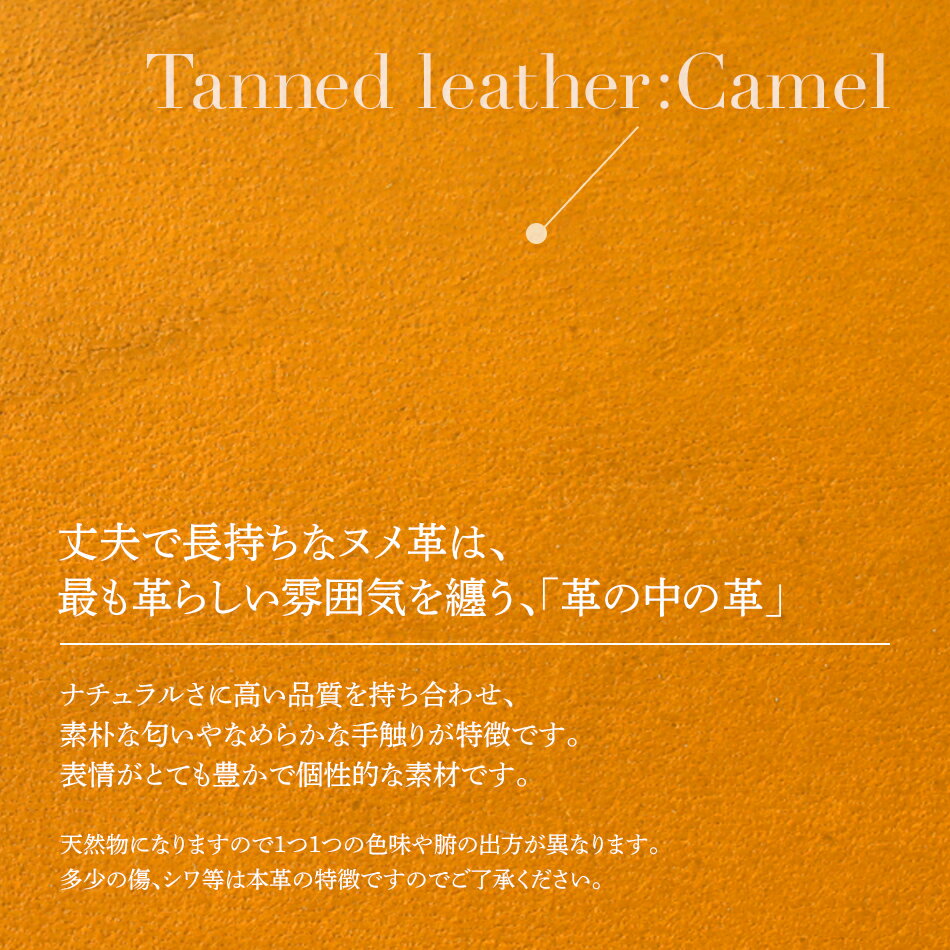 【ふるさと納税】 マネークリップ 革 （ヌメ革 キャメル 革） W11cm H9cm D0.5cm 札入れ カード入れ カード挿し シンプル おしゃれ 紳士 メンズ レディース 男性 高級 プレゼント おすすめ 福岡県 大木町 ナデルファーデン BK064 サムネイル2