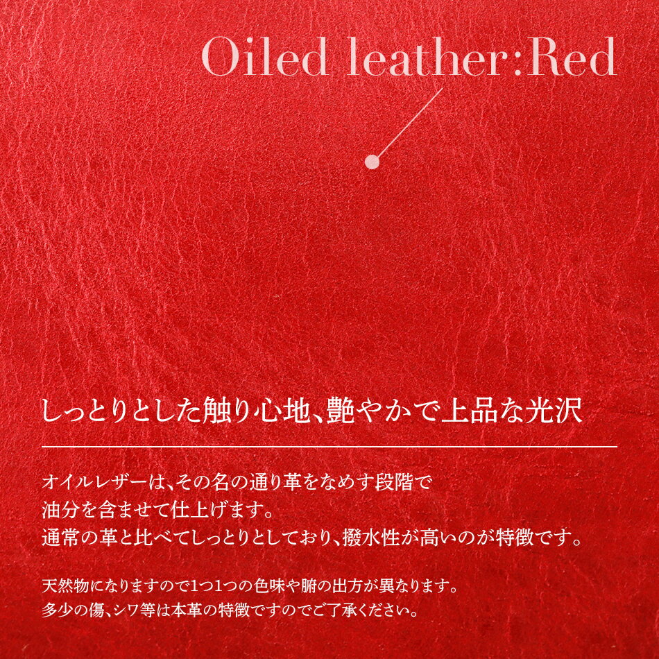【ふるさと納税】 ボディーバッグ オイルレザー・レッド バッグ 牛革（国産オイルレザー） シャンタン 収納力 おしゃれ おすすめ 福岡県 大木町 ナデルファーデン BK087 サムネイル2