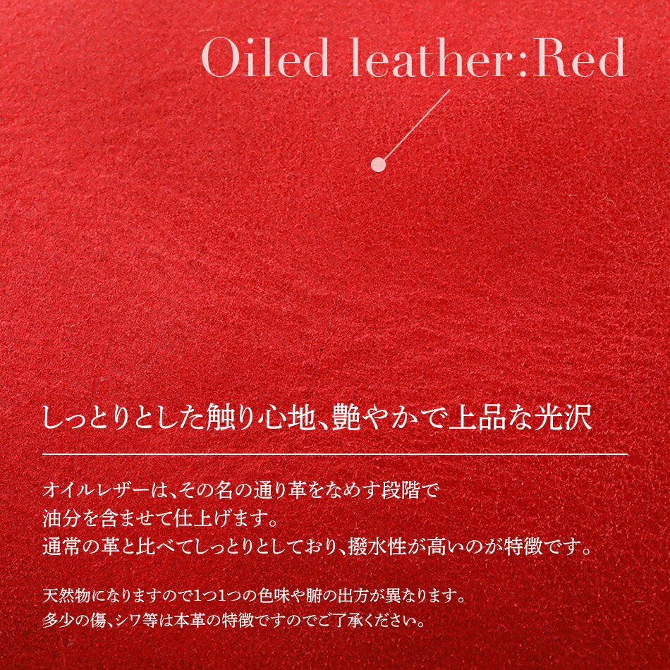 【ふるさと納税】ミニボディーバッグ（オイルレザー・レッド） お出掛け 旅行 革 収納 小さめ 鞄 カバン ミニバッグ おすすめ 福岡県 大木町 BK091 サムネイル2