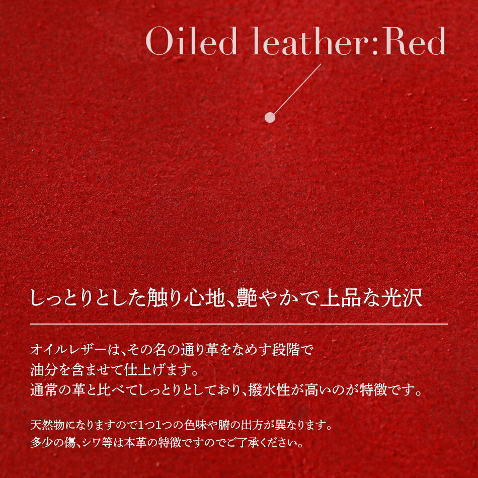 【ふるさと納税】 コニー（ 金具を使わないハンドバッグ ）（ オイルレザー・レッド） おしゃれ おすすめ 福岡県 大木町 ナデルファーデン BK096 サムネイル2