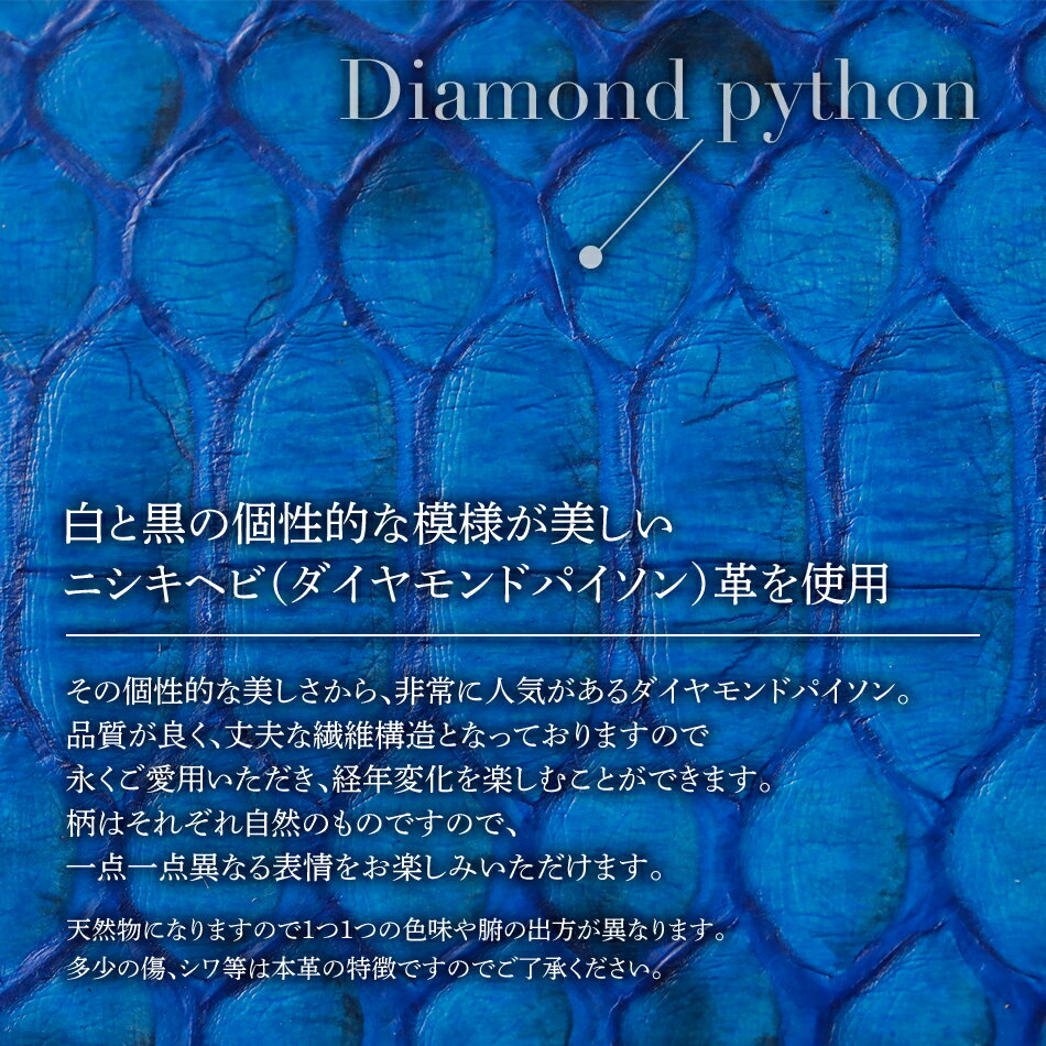 【ふるさと納税】ネーム入れオーダー／マネークリップ（ダイヤモンドパイソン各色）おすすめ 福岡県 大木町 ナデルファーデン BK121 サムネイル3