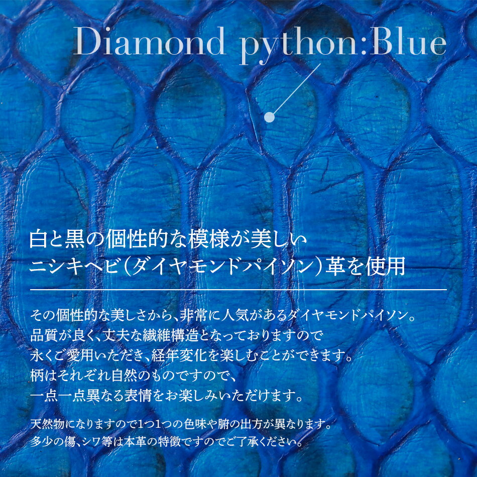 【ふるさと納税】 マネークリップ 革 ダイヤモンドパイソン ブルー 革 W11cm H9cm D0.5cm 札入れ カード入れ カード挿し シンプル おしゃれ 紳士 メンズ レディース 男性 高級 プレゼント おすすめ 福岡県 大木町 ナデルファーデン BK001 サムネイル2