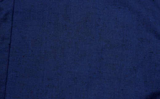 【ふるさと納税】 半纏 はんてん 久留米織 久留米はんてん 紳士紬はんてん フリーサイズ 紺 紳士用 男性用 メンズ はんてん 綿入れはんてん 無地 シンプル 株式会社桑野 おすすめ 福岡県 大木町 BA007 - 画像2