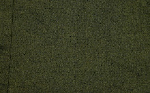 【ふるさと納税】 半纏 はんてん 久留米織 久留米はんてん 紳士用 男性用 メンズ 紳士紬はんてん フリーサイズ （ グリーン ） はんてん 綿入れはんてん 無地 シンプル 株式会社桑野 おすすめ 福岡県 大木町 BA009 サムネイル3