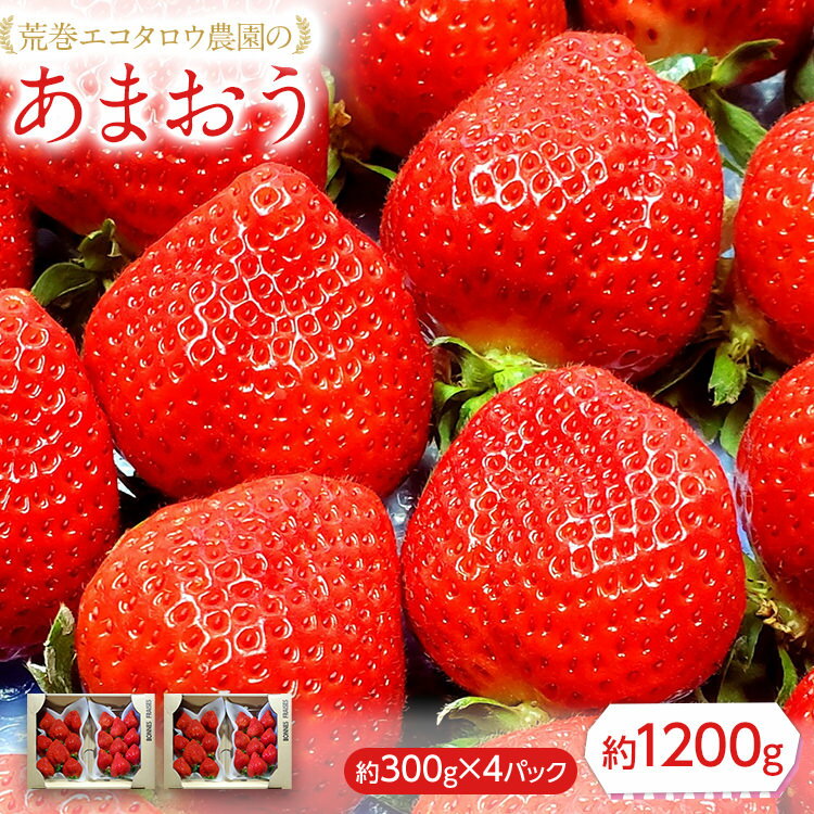 荒巻エコタロウ農園のあまおう約300g×4パック(約1200g)【2026年2月下旬以降順次出荷予定】BJ04