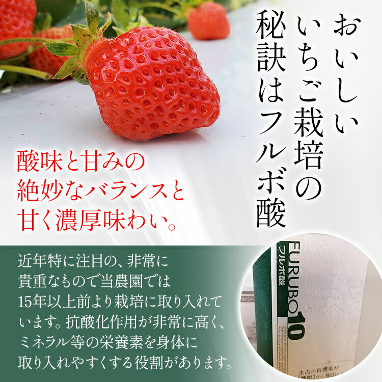 【ふるさと納税】荒巻エコタロウ農園のぜいたく定期便※2026年1月～2月末にかけて3回出荷　BJ08 サムネイル3